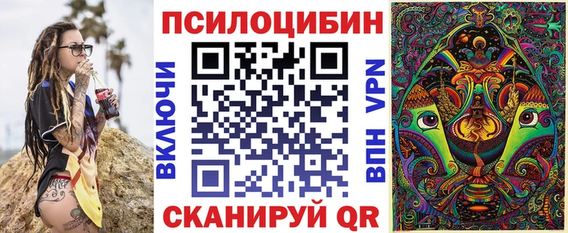 кракен tor Южа Псилоцибиновые грибы Cubensis